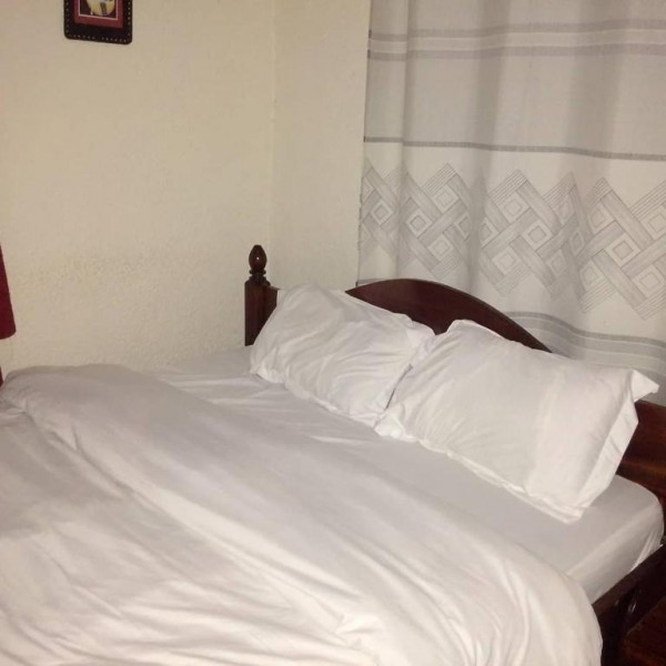 Green Nest By Safaris